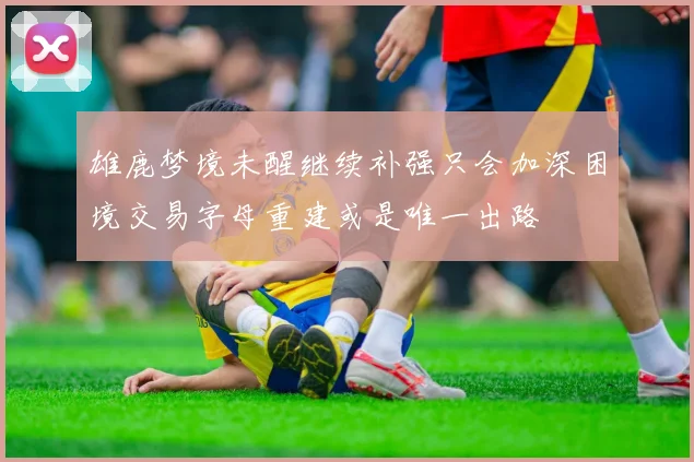 雄鹿梦境未醒继续补强只会加深困境交易字母重建或是唯一出路